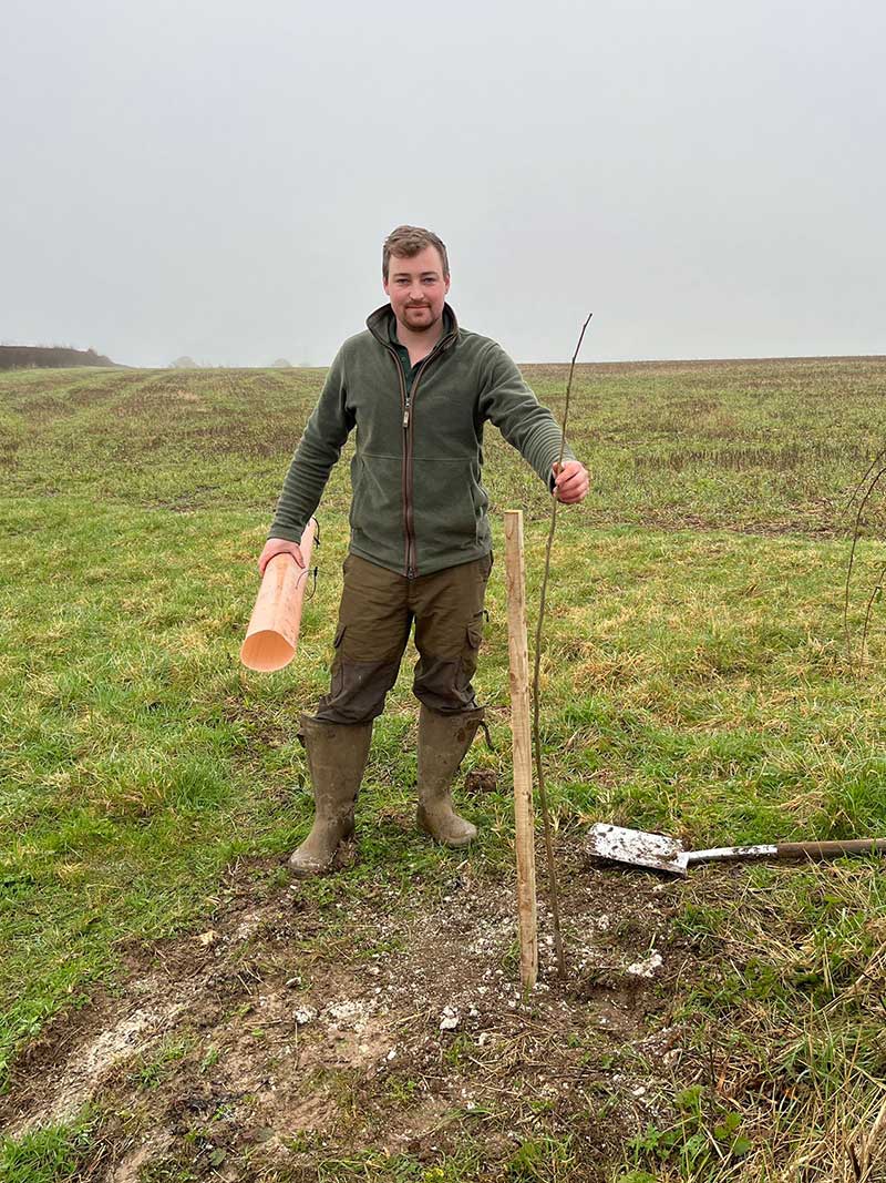 Max tree planting