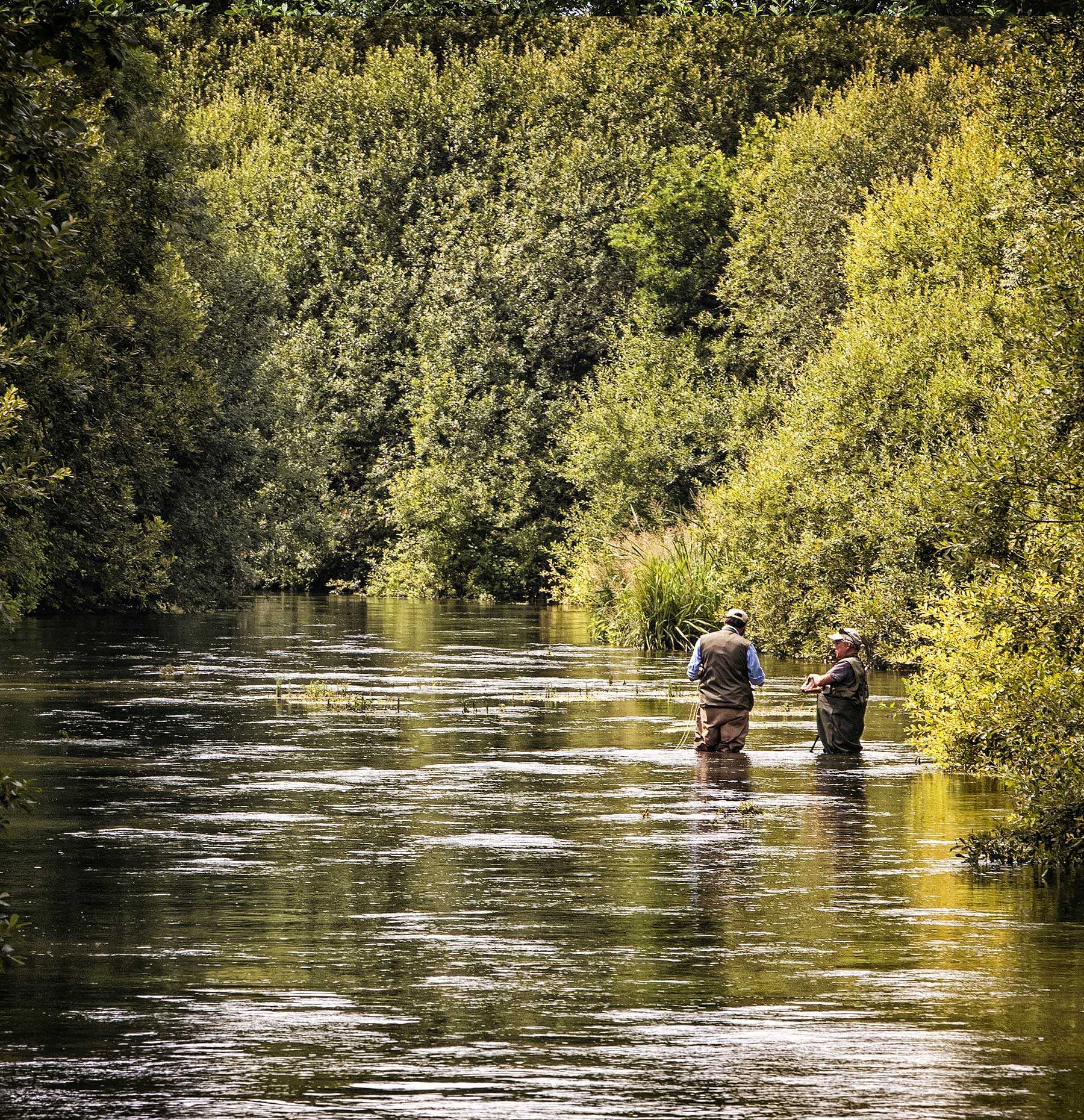 Fishing on the Itchen