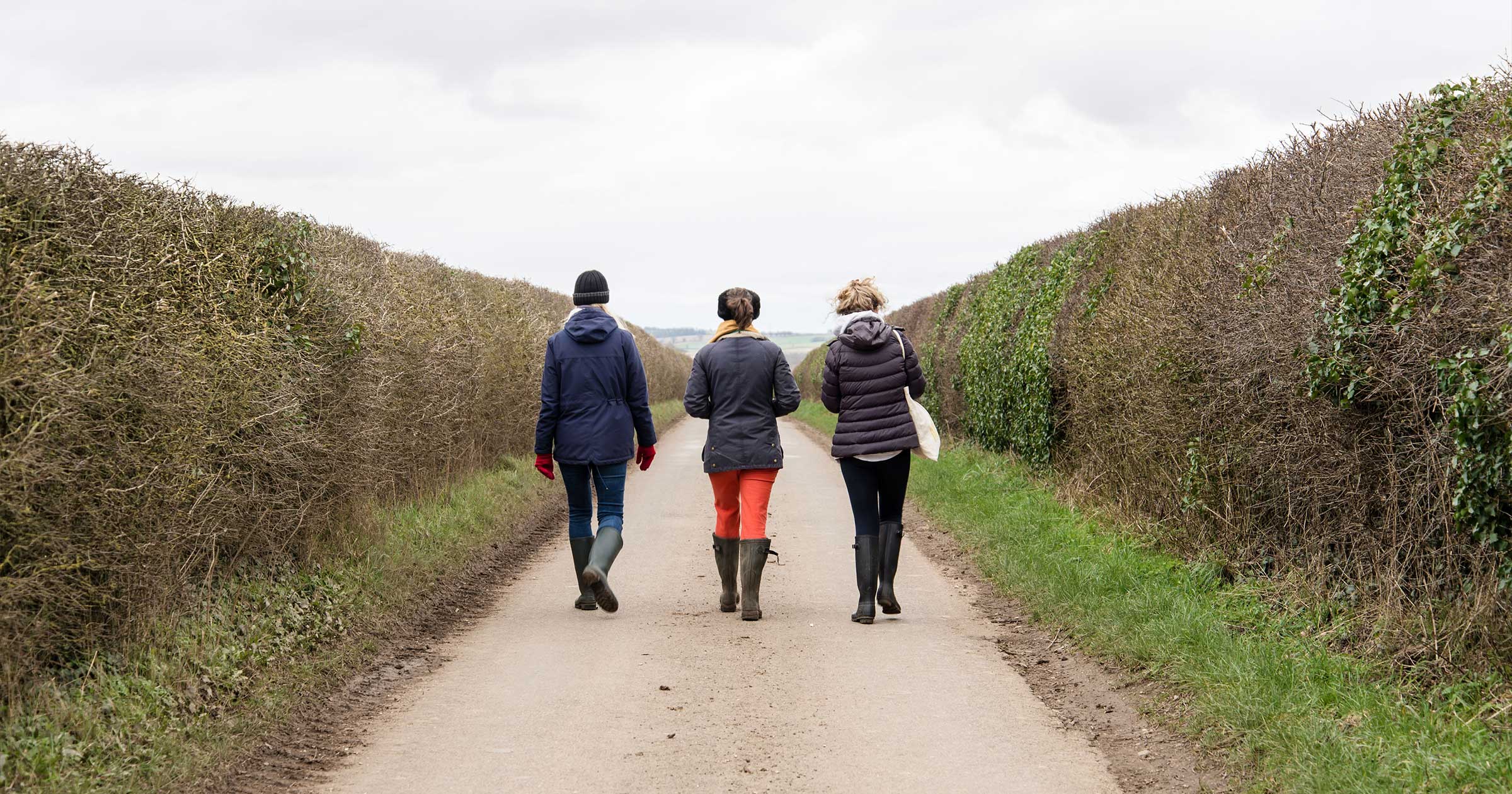 Winter Walks